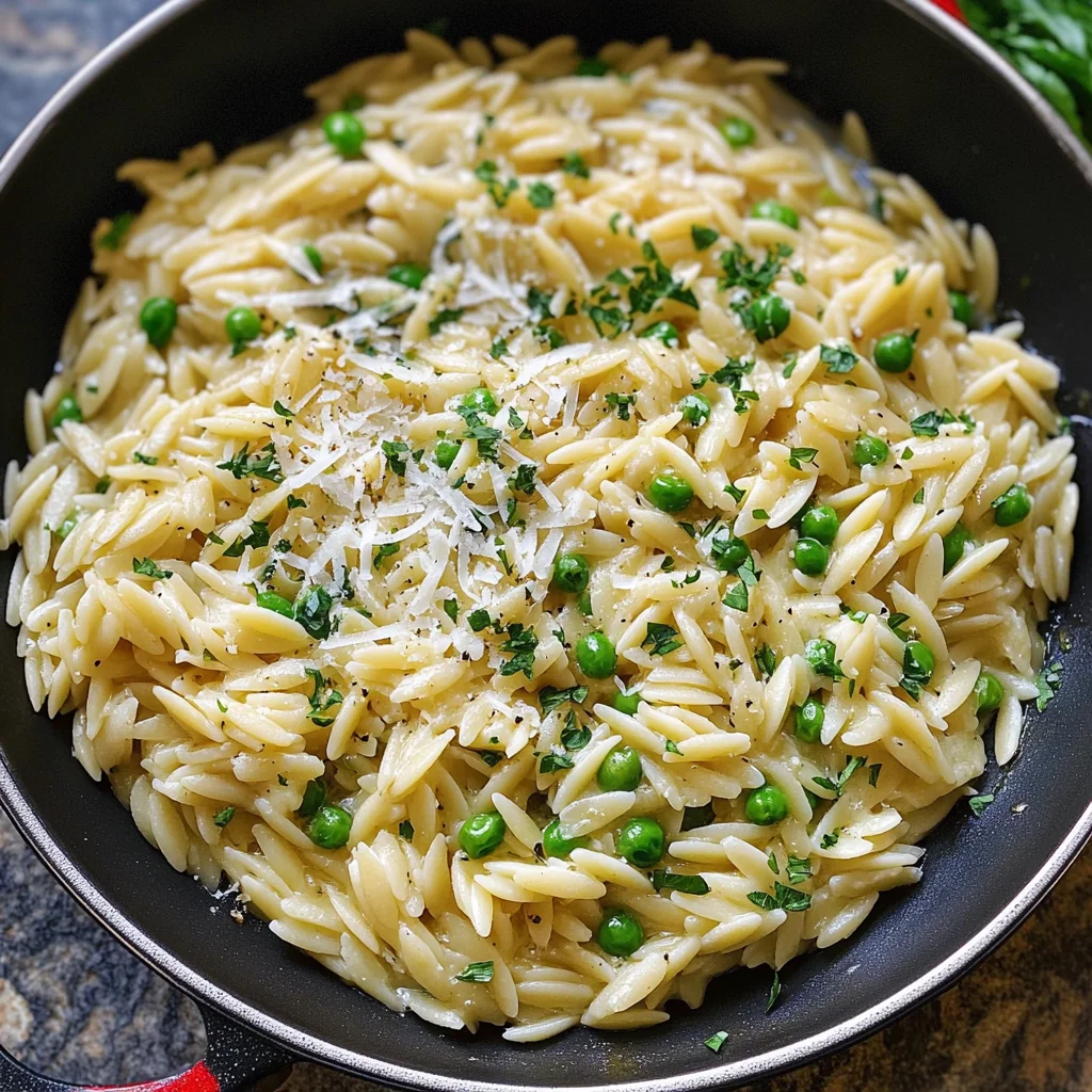 Garlic Parmesan Orzo Pasta Recipe